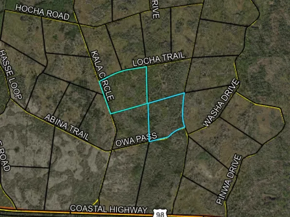 Xx Locha Trl, Crawfordville, FL 32327