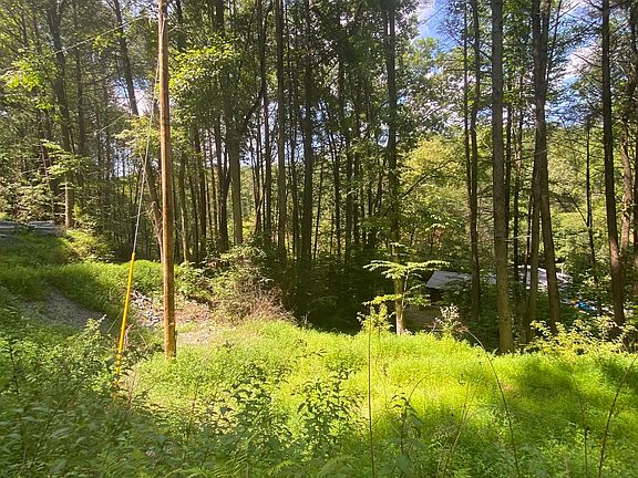 3rd image of Hemlock Hemlock Trl