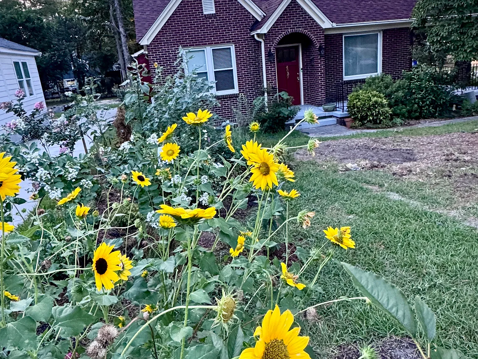 Forest Dr, Columbia — Photo 1