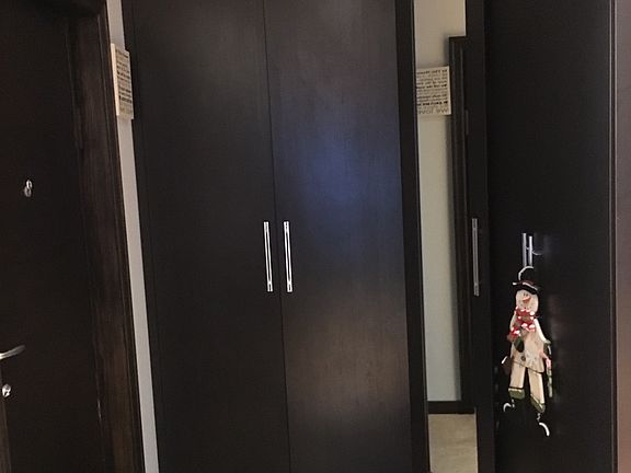 1st Floor Entryway Closets