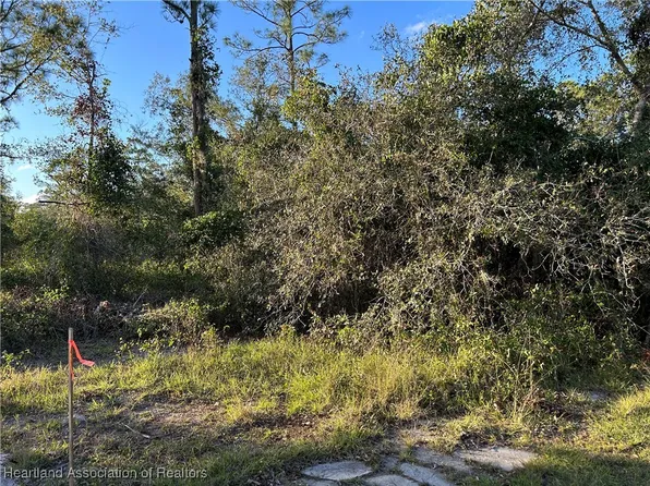 PARCEL 1 Abernathy Ave, Sebring, FL 33875
