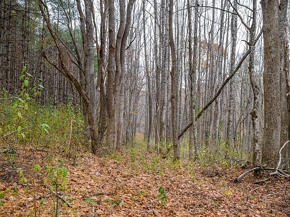 2nd image of 621 Wild Cherry Rd NE Lot D