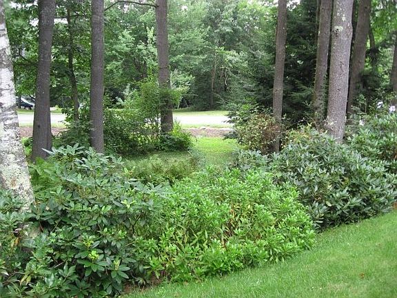2nd image of 9 Anthony Dr