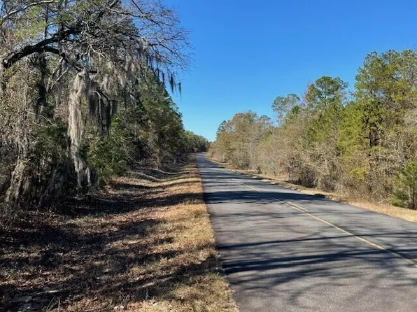 LOT Pineville Rd #A, Buena Vista, GA 31803