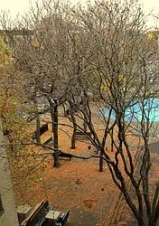 Rented by The State Street Consultancy