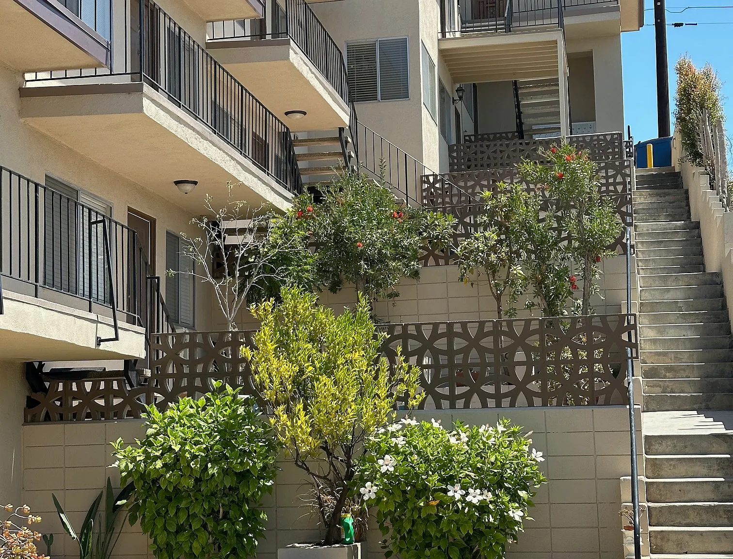 1 bed, 558 sqft, $2,750 — Photo 3