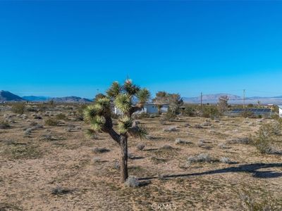 61628 Jupiter Dr Lot 10, Joshua Tree, CA, 92252