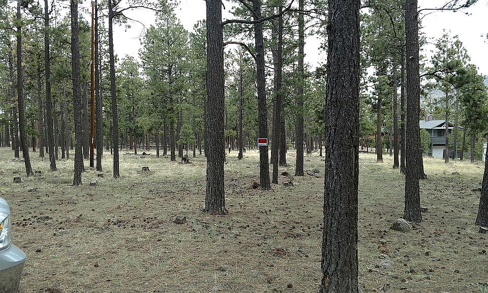 2nd image of 11 County Road 1025