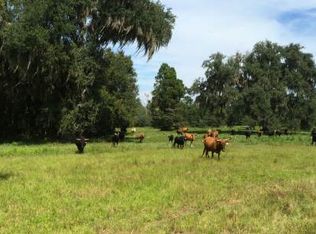 7753 SW 79th Dr, Jasper, FL 32052