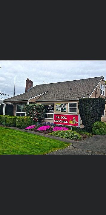 D and J Dog Grooming 