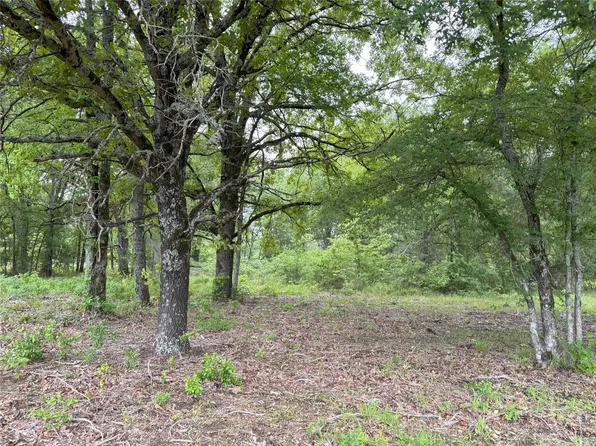 25 Rains County Rd #2610, Alba, TX 75410