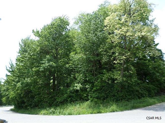 2nd image of Tall Timber Dr