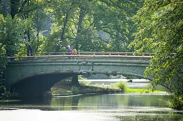 Rented by Lisa Management