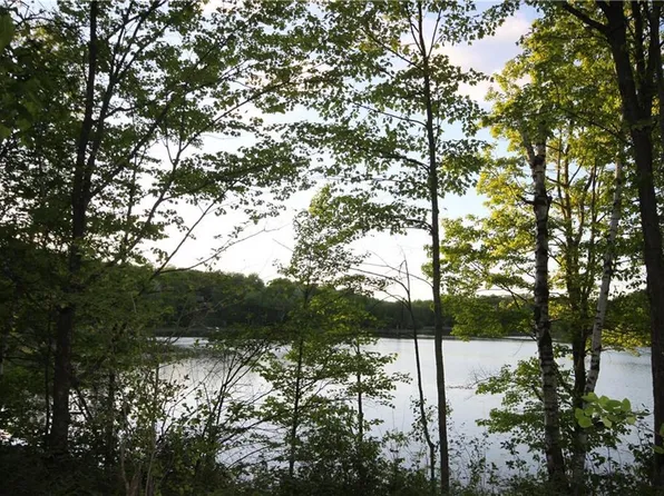Lot  2 Timber Wolf Drive, Springbrook, WI 54875