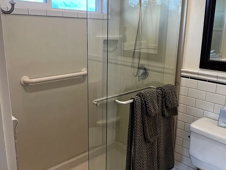 Master Bath walk-in Shower