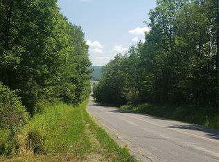 133 Vincent Hill Rd, Port Crane, NY 13833