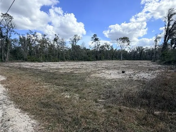 163 NE 159th Ave Lot 30, Old Town, FL 32680