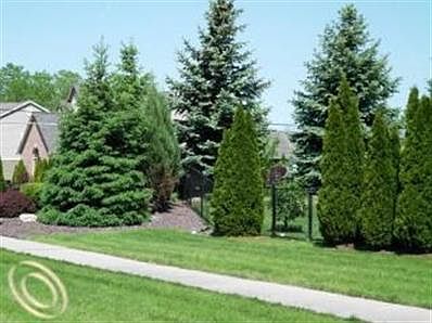 3rd image of 52601 Forest Hill Dr