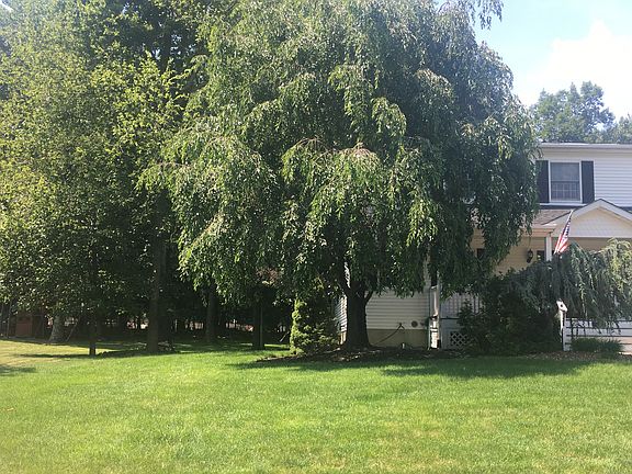 3rd image of 89 Winchester Dr