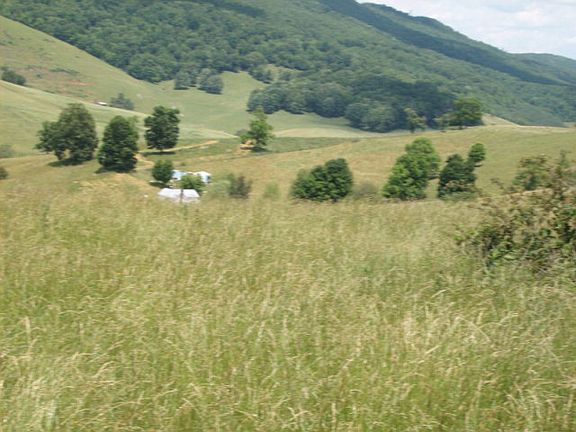 5th image of 304 Steele Brothers Farm Ln