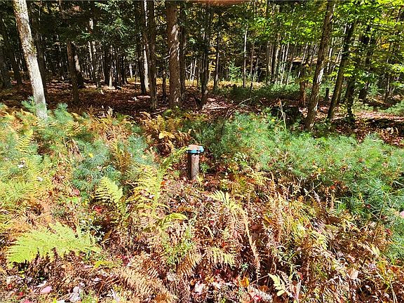 2nd image of 0 Bush Rd Lot 5