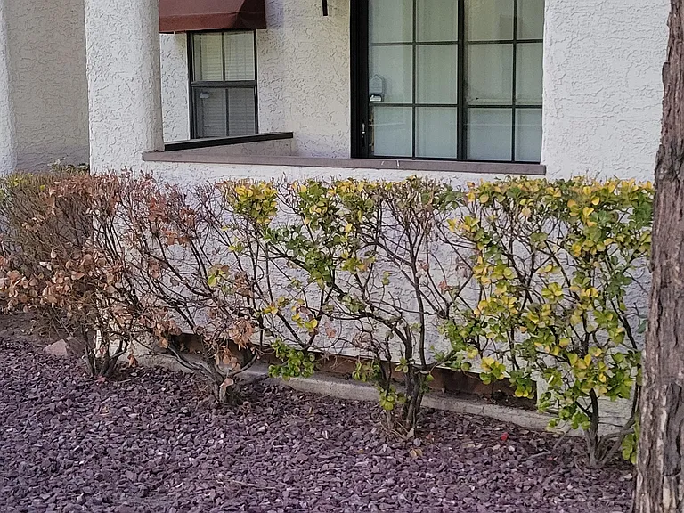 6627 W Tropicana Ave #101 — Photo 7