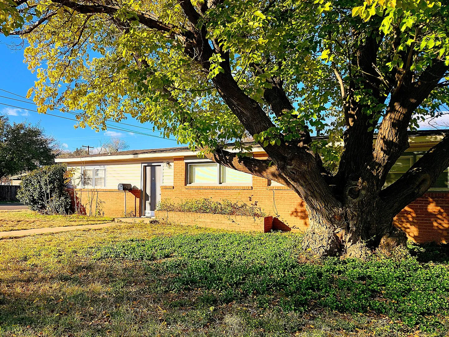 Charming Two Bed One Bath Near Texas Tech — Photo 3