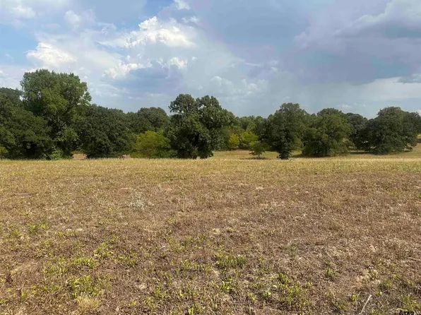 3520 Tract #1, Brownsboro, TX 75756