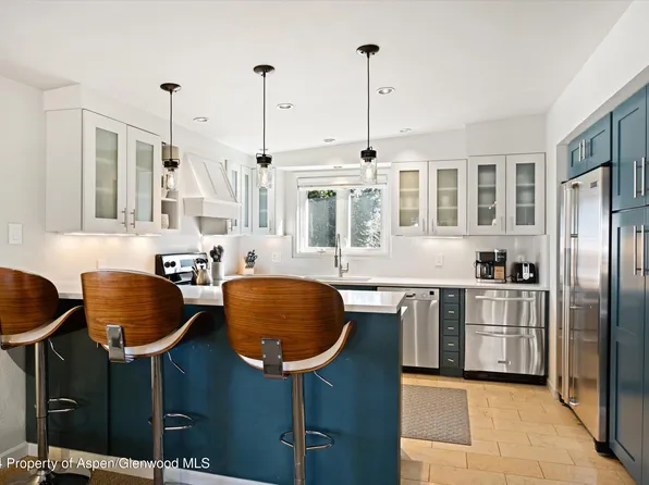 805 E Cooper Ave APT 12, Aspen, CO 81611