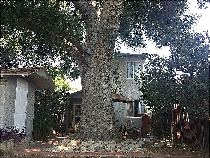 1st image of 231 S Beachwood Dr