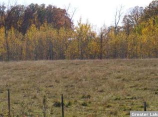Tbd County Road 119, Menahga, MN 56464