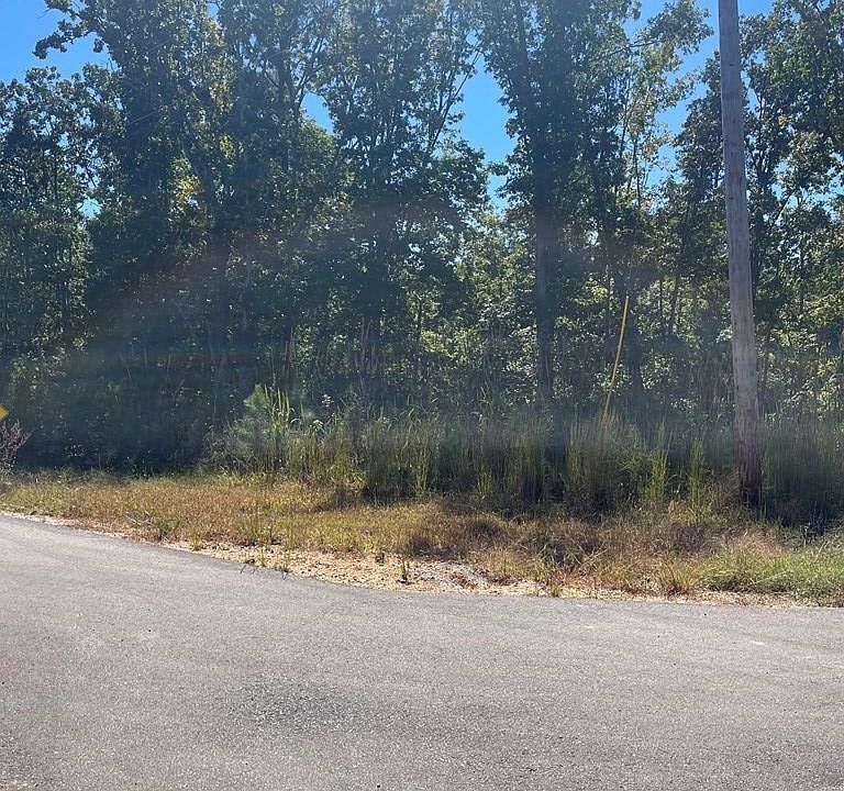 2nd image of 0 Beach Bluff Ln Lot 25
