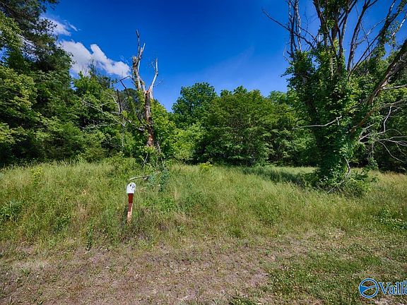 4th image of 481 Rolin Hollow Rd