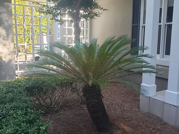 Left of the front door