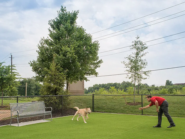 Dog Park