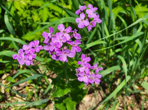 LOT 64 Sunrise Cir, Brodhead, WI 53520