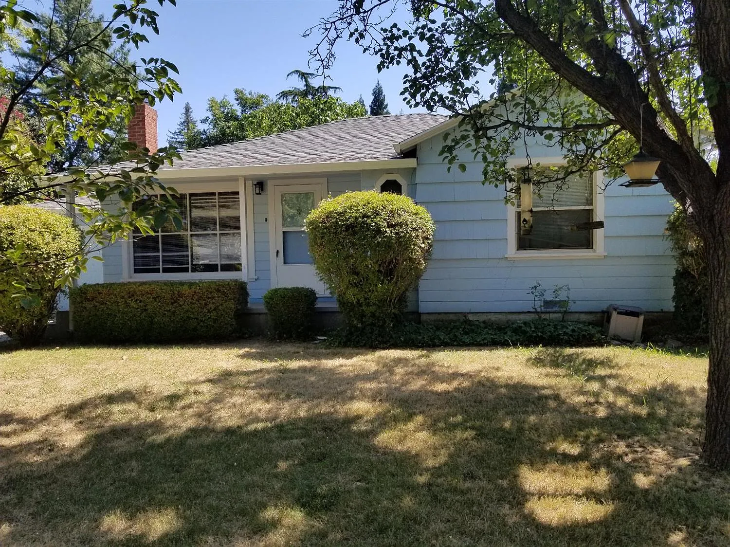 534 Trinity Ave photo 1