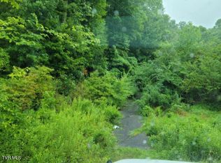 103 Locust Ave SW, Norton, VA 24273