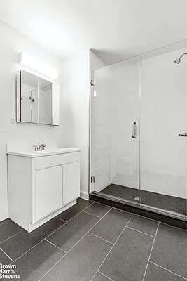 Rented by Brown Harris Stevens | media 4