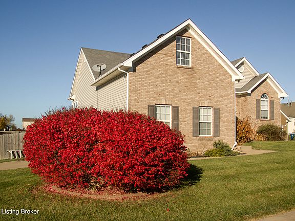 3rd image of 250 Grand Central Dr
