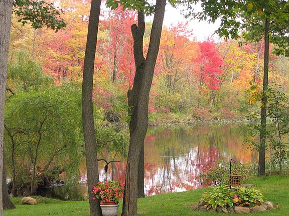 Autumn on the River