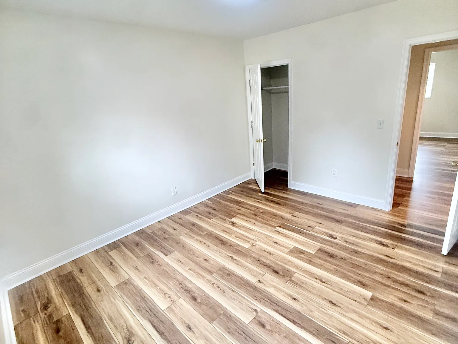 2 bed, 775 sqft, $1,250 — Photo 4