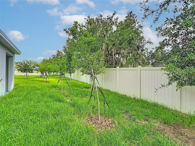 31115 Silver Stage Dr — Photo 46