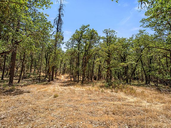 4th image of 4199 Foots Creek Rd