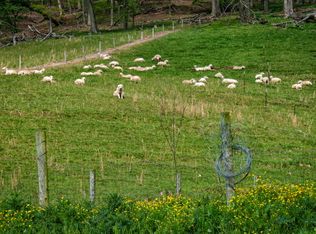 335 Cale Way, Clyde, NC 28721