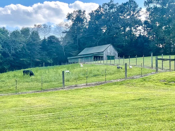 7135 Highway 136 W, Talking Rock, GA 30175