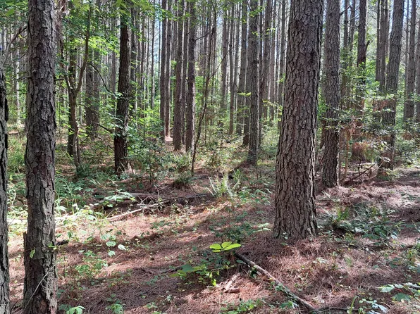 Airport Road Pca Lot 12, Rockwood, TN 37854