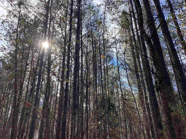 995 Judge Smith Rd, Evergreen, AL 36401