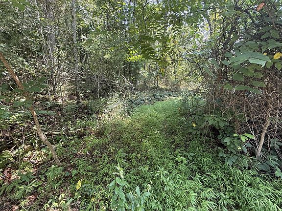 4th image of Lampkins Rd