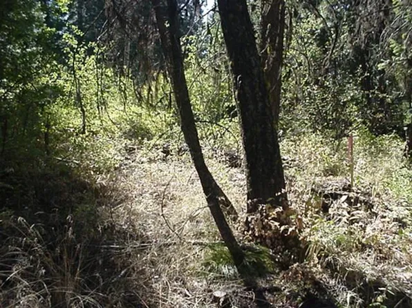 Ruth St, Cascade, ID 83611